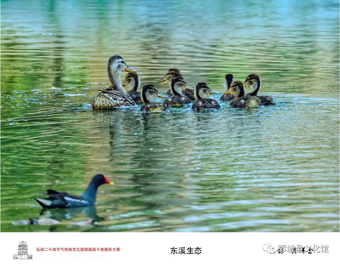 资讯