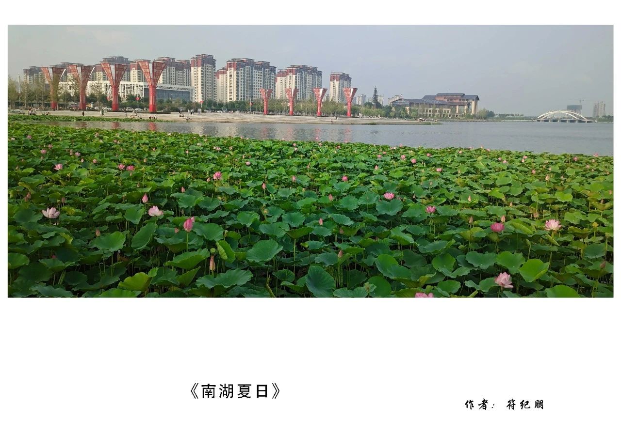 资讯