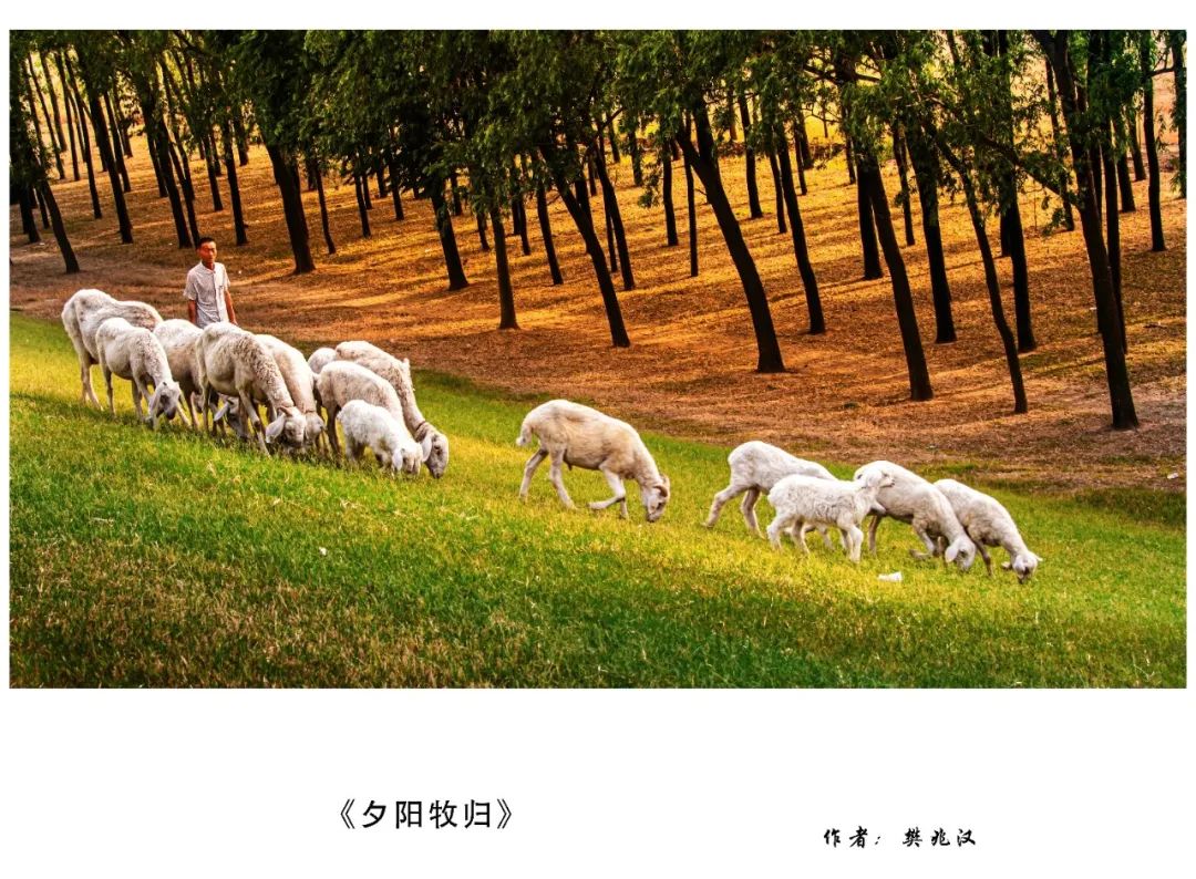 资讯