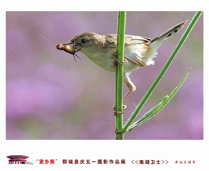 资讯