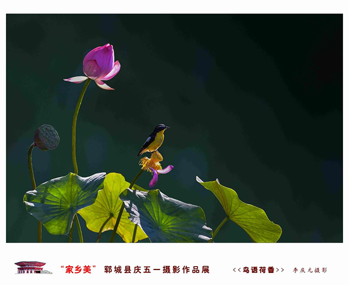 资讯